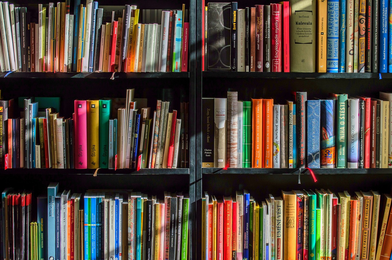 Estantería de pared llena de libros con lomos de colores diversos, simbolizando una amplia gama de géneros literarios disponibles